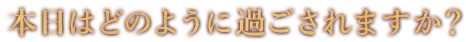 本日はどのように過ごされますか