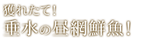 獲れたて！垂水の昼網鮮魚！